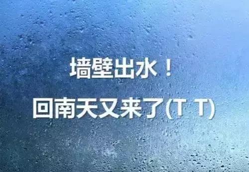回南天防湿最好的方法,回南天防潮防湿有什么办法