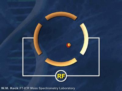 20张动图秒懂四大名谱原理！