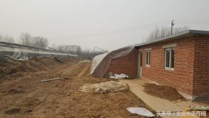 地里建的房子,地里盖房子有虫子怎么办