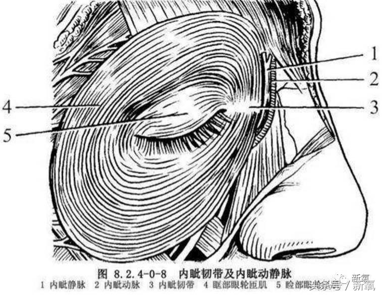 为什么开眼角会变漂亮,为什么开眼角很奇怪