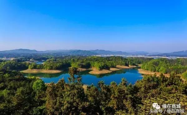 厉害了我的大商城，这是商城县最牛的打开方式……