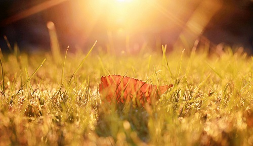 女性泌尿系统感染常见吗,女性hpv感染很常见