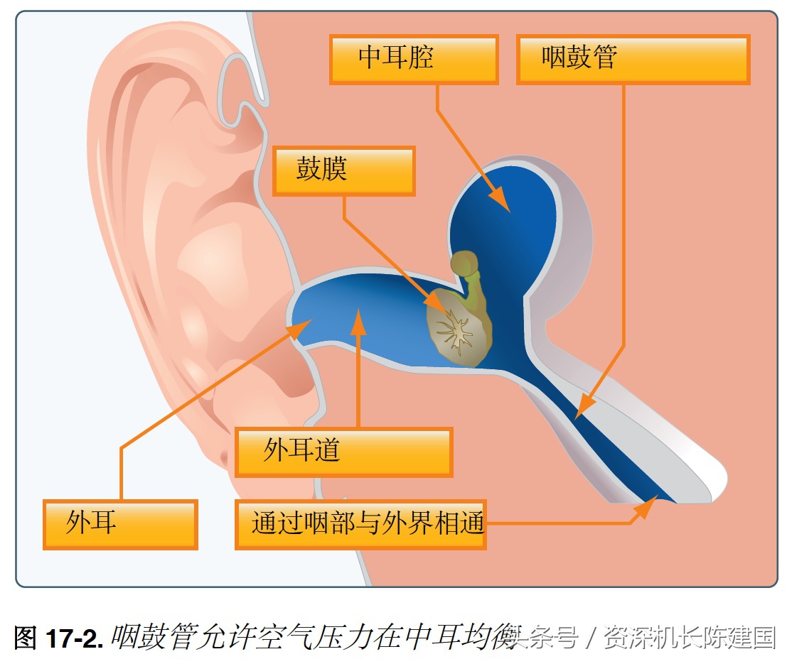 坐飞机出现耳朵疼的症状,坐飞机耳朵疼戴耳塞有用吗
