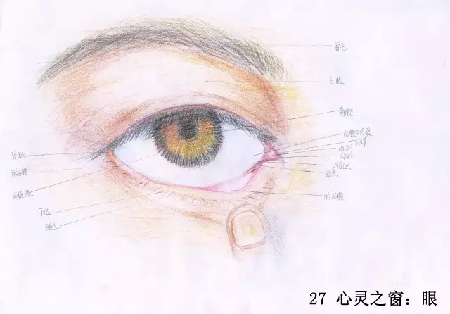 正所谓画骨画皮也画心,画皮画骨还画心