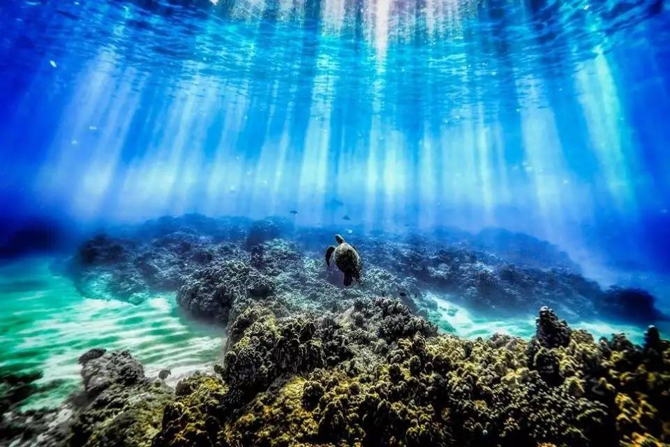 刘强东与奶茶妹妹的婚礼举办地大堡礁到底有多美？自己去看！