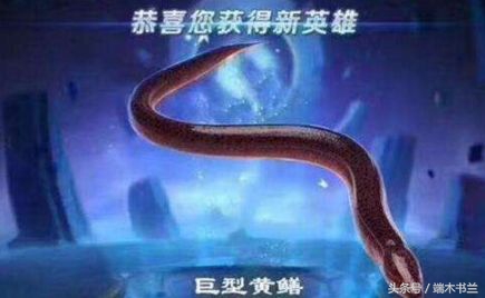 黄鳝灵异故事,黄鳝惊悚民间故事