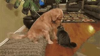 男人惹女生生气的高情商句子,男人故意惹你生气刺激你的表现