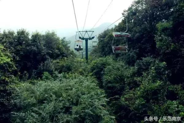 南京莫愁湖公园免费,南京免费公园免费开放日一览表