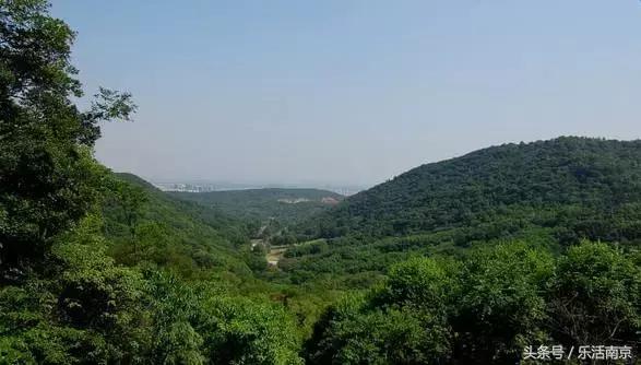 南京莫愁湖公园免费,南京免费公园免费开放日一览表