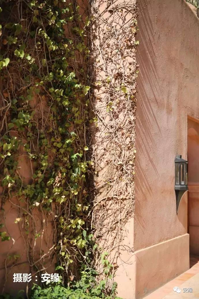 娌欐紶閲岀殑鐨囧,娌欐紶閲岀殑鐜嬪