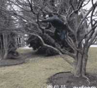 上课时我不顾老师的呼喊跑出去，接了一盆水全部泼在了同桌的身上