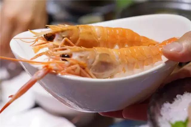 逆天啦,海鼎荟厦门生蚝