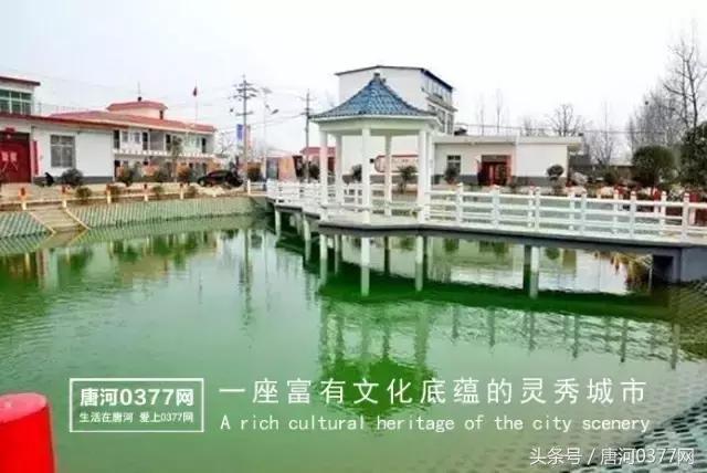 唐河，你就是一个P？