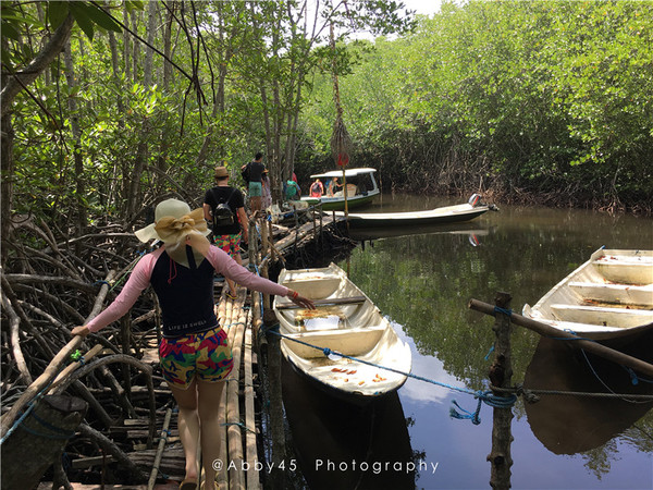 到巴厘岛的感受,到巴厘岛后怎么去蓝梦岛