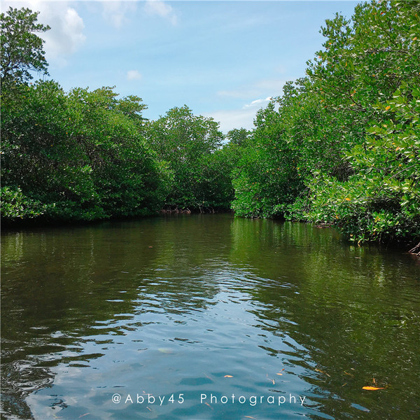 到巴厘岛的感受,到巴厘岛后怎么去蓝梦岛