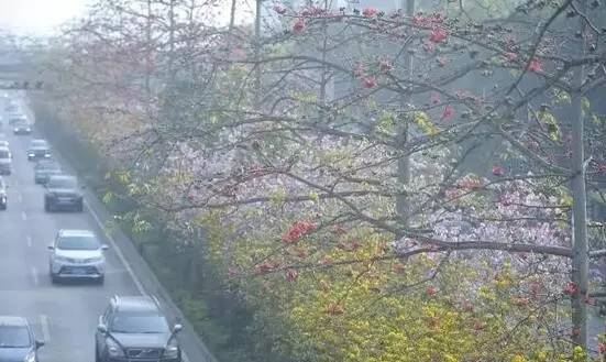 广西2022-2025年重大项目,广西未来将建设几个重要的项目