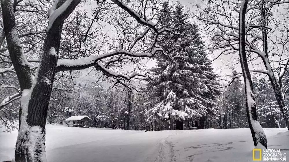 国家地理摄影图片冬天,中国国家地理景观冬季