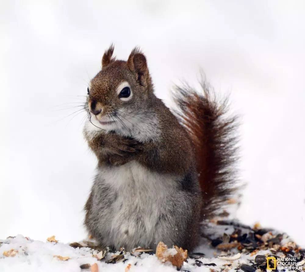 国家地理摄影图片冬天,中国国家地理景观冬季