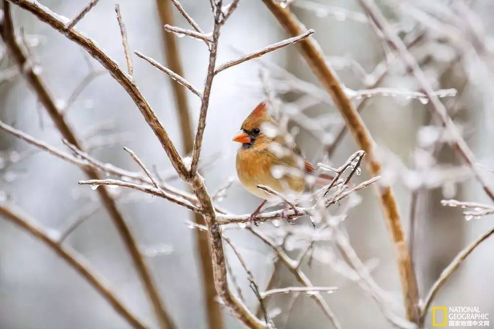 国家地理摄影图片冬天,中国国家地理景观冬季