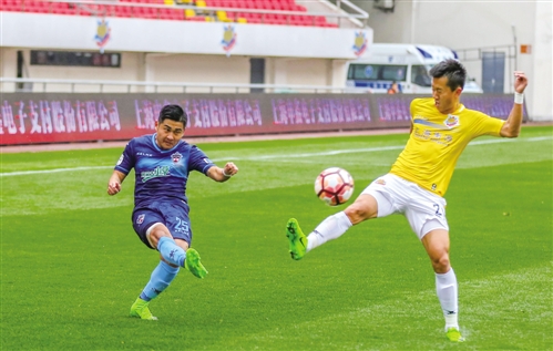 呼和浩特小草图片,呼和浩特小草照片