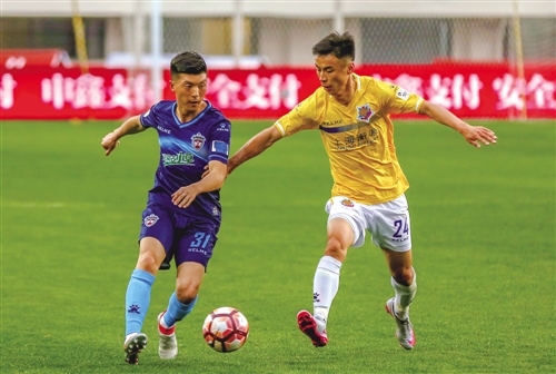 呼和浩特小草图片,呼和浩特小草照片