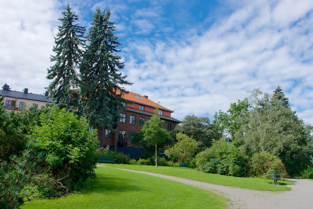 不负好春光正是踏青赏花时,不负好时光春耕春种新变化来了