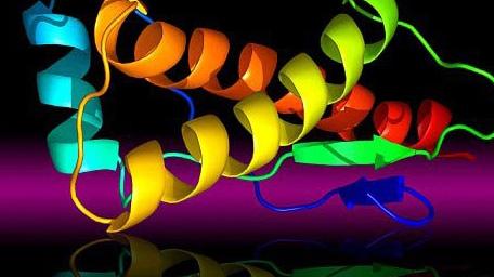 如何消除病毒的感染,如何去除朊病毒