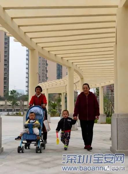 实现公园之区“小目标”，新桥书香公园开园迎客