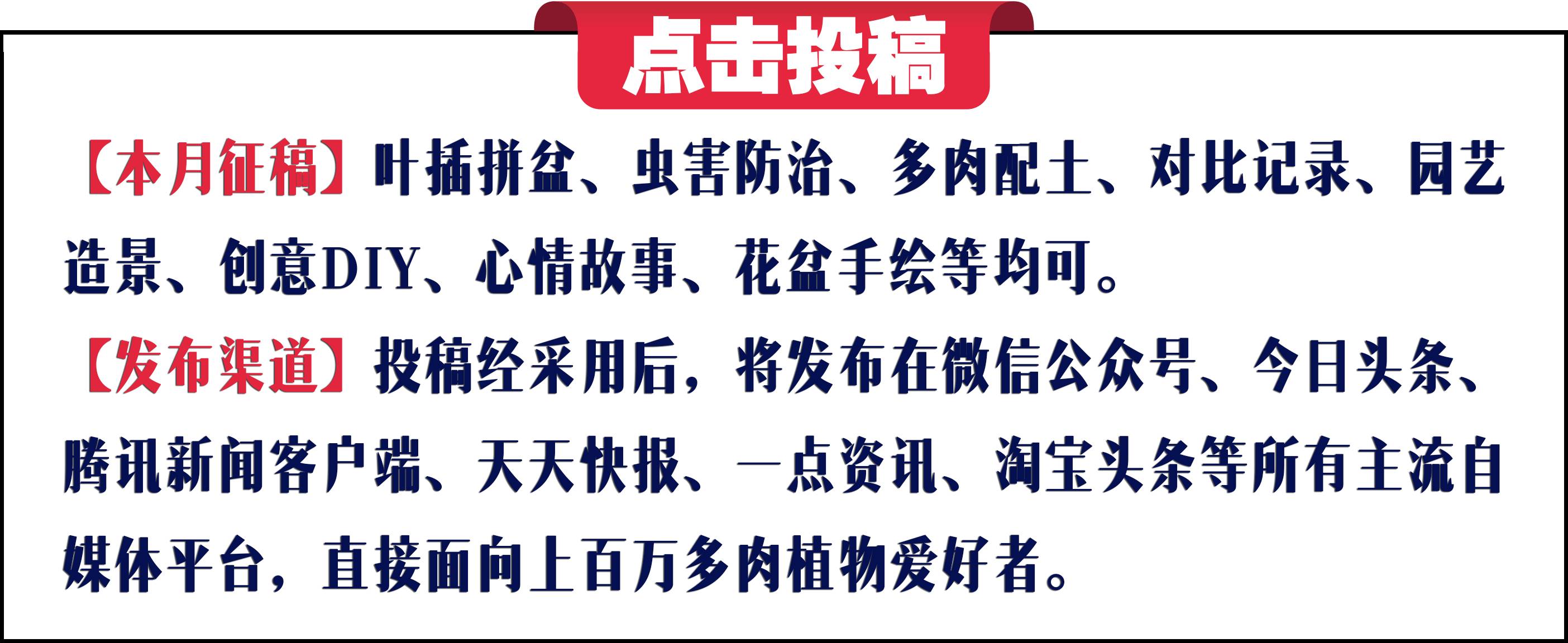今天，你爱国了吗？写给爱多肉的你~