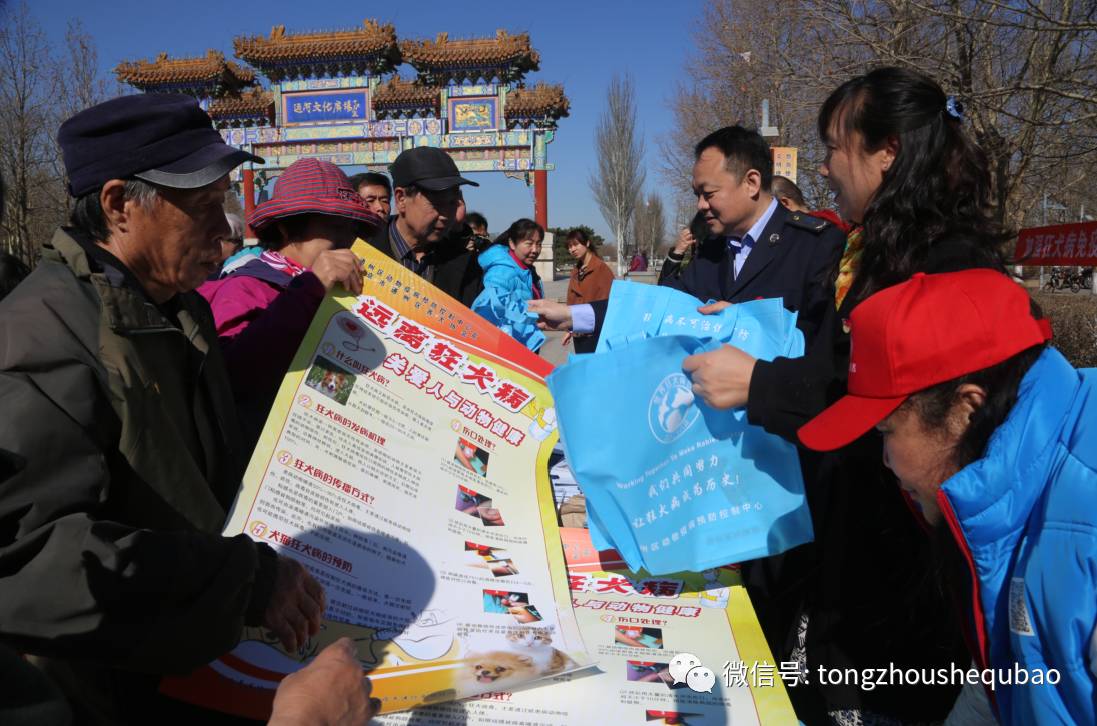 打算养狗需要准备什么,南京正规给狗打疫苗的地方