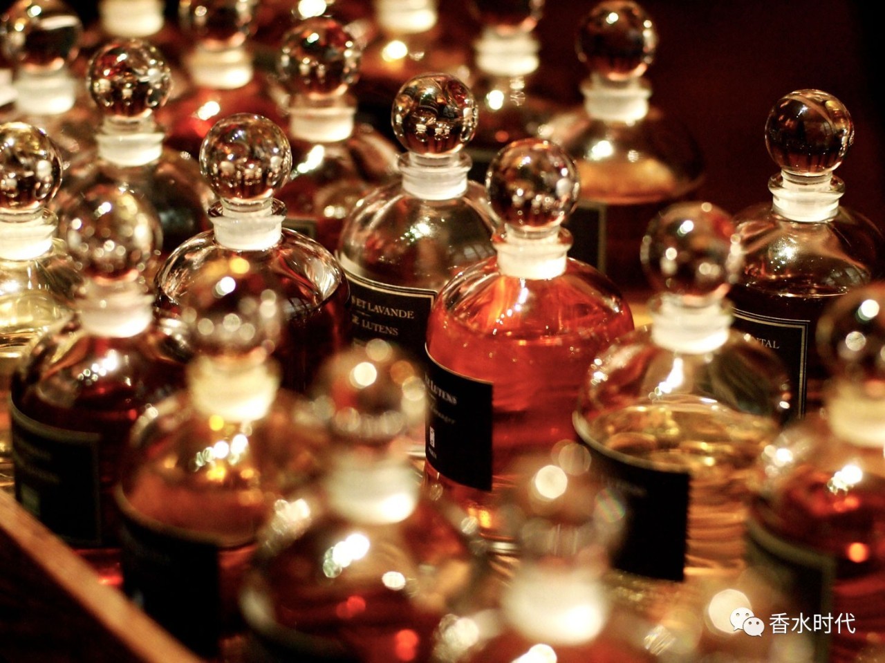 芦丹氏香水淡香推荐,芦丹氏哪款香水最好闻