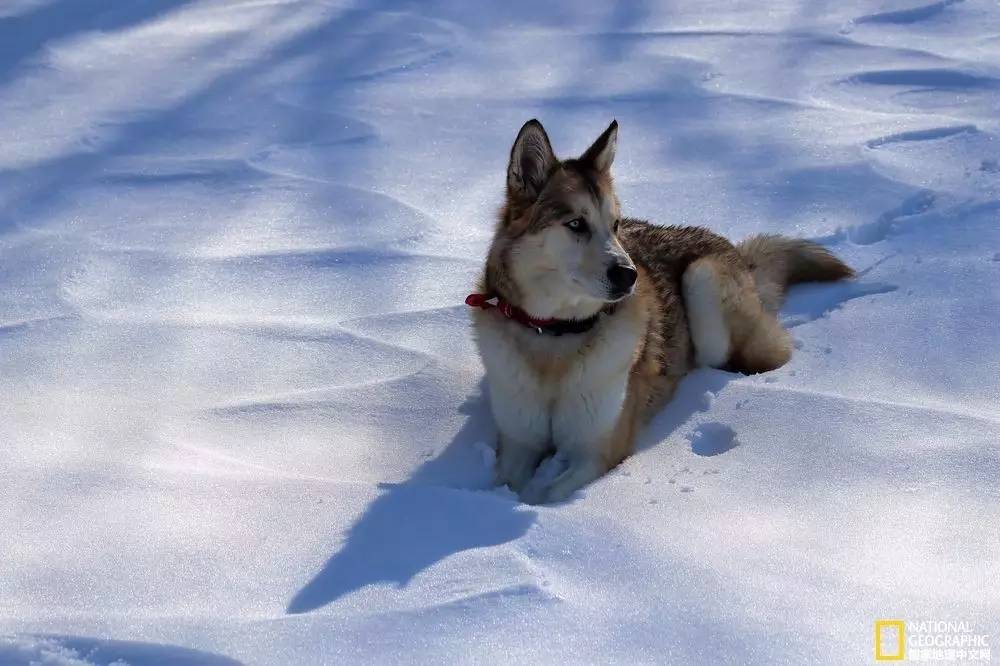 国家地理摄影图片冬天,中国国家地理景观冬季