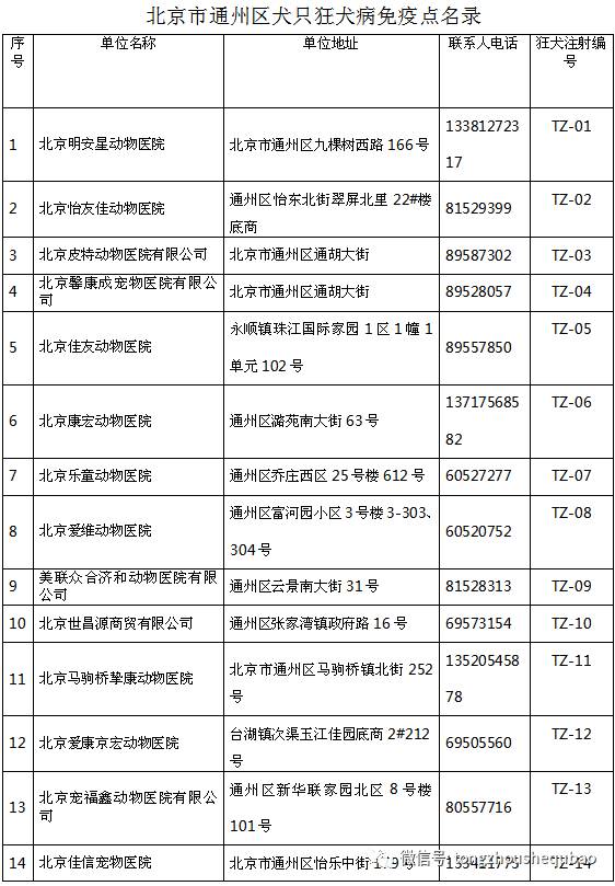 打算养狗需要准备什么,南京正规给狗打疫苗的地方