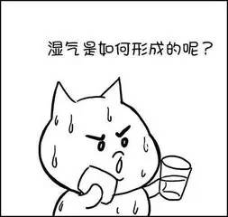 上火了喝什么凉茶降火最快,上火凉茶怎么喝