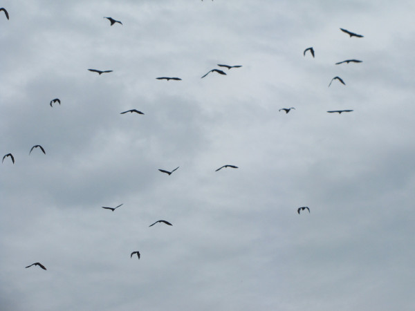 斯里兰卡“人文旅游”攻略综述