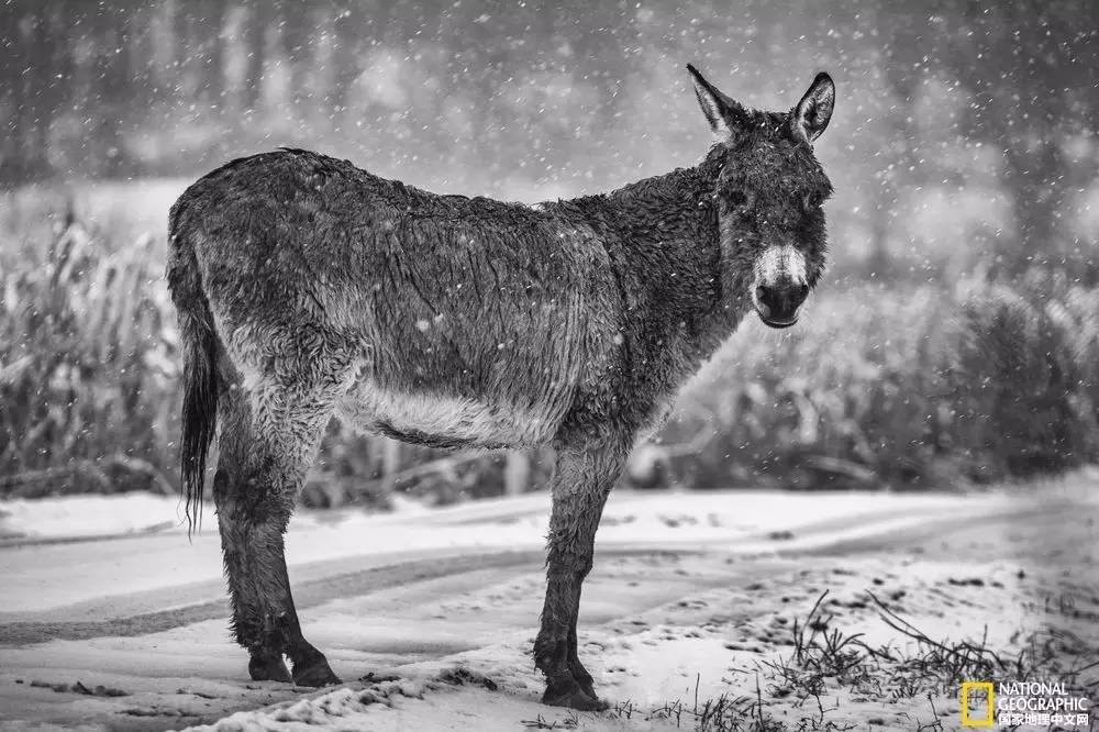 国家地理摄影图片冬天,中国国家地理景观冬季