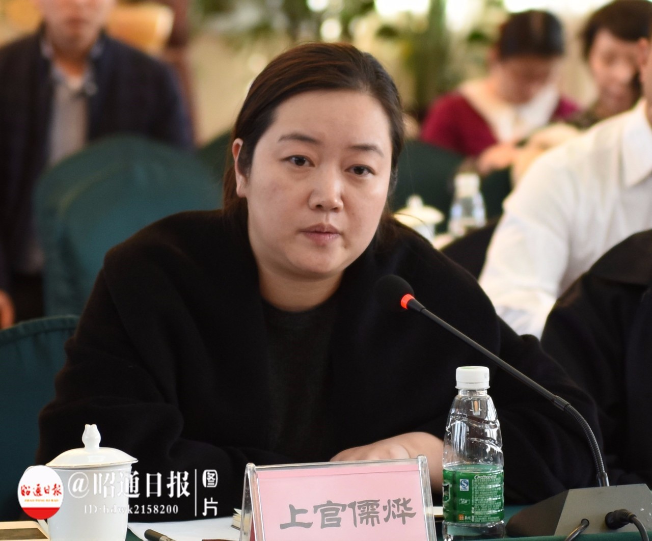 涓撳鐐硅瘎褰辫,褰辫鐐硅瘎澶у挅