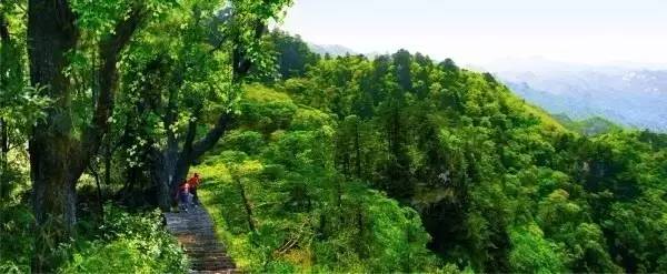 景区年票是怎么办理的,旅游年票的办理时间是多久