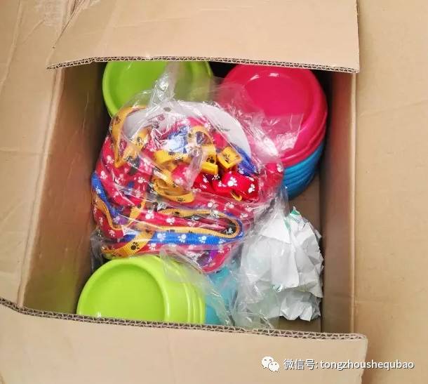 打算养狗需要准备什么,南京正规给狗打疫苗的地方