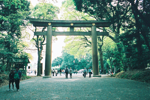 不负好春光正是踏青赏花时,不负好时光春耕春种新变化来了