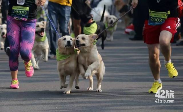 黄崖关长城越野挑战赛,2022燕羽山越野挑战赛