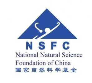 肥胖相关性肾病的干预,肥胖相关性肾病能彻底治愈吗