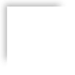 朋友生日买什么花,朋友生日买什么比较好