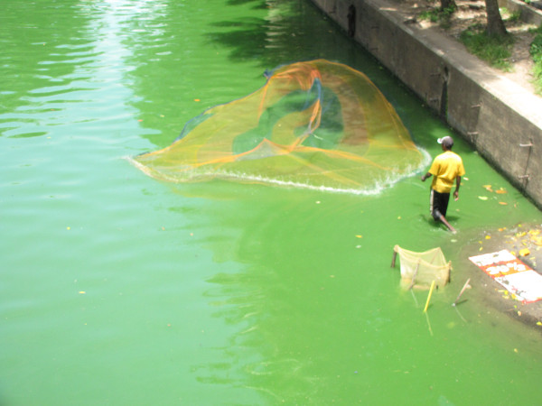 斯里兰卡“人文旅游”攻略综述