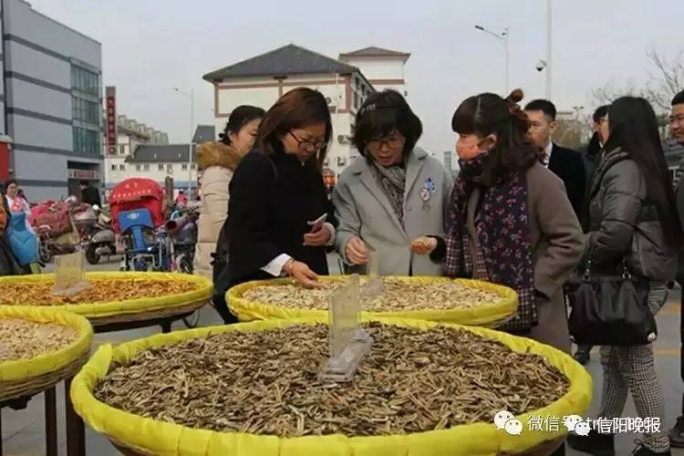 「福利」信阳景福堂国药馆“中医药文化节”大型义诊活动开启！