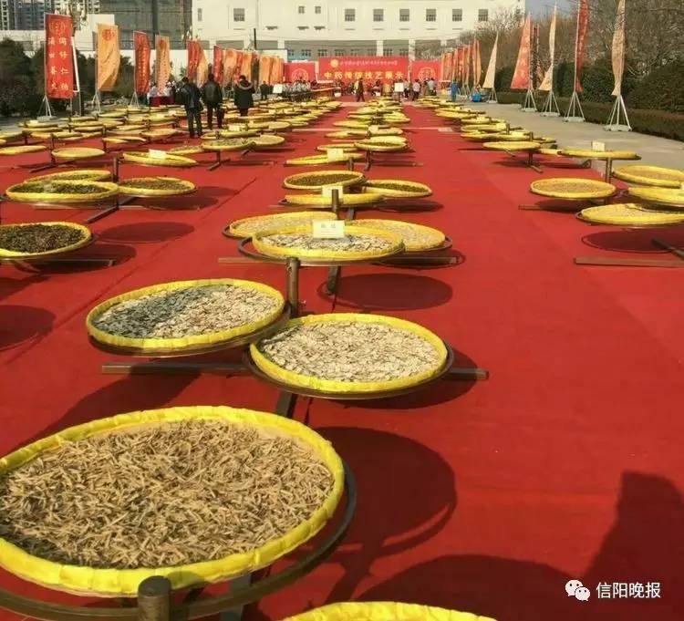 「福利」信阳景福堂国药馆“中医药文化节”大型义诊活动开启！