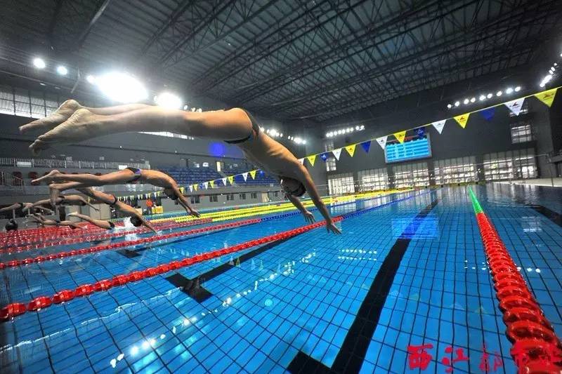 梧州青运会各队名单,梧州青运会赛程