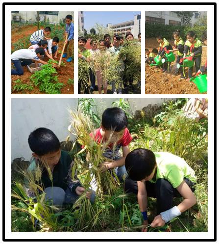 乡村学校少年宫观摩活动,乡村学校少年宫助梦想起航