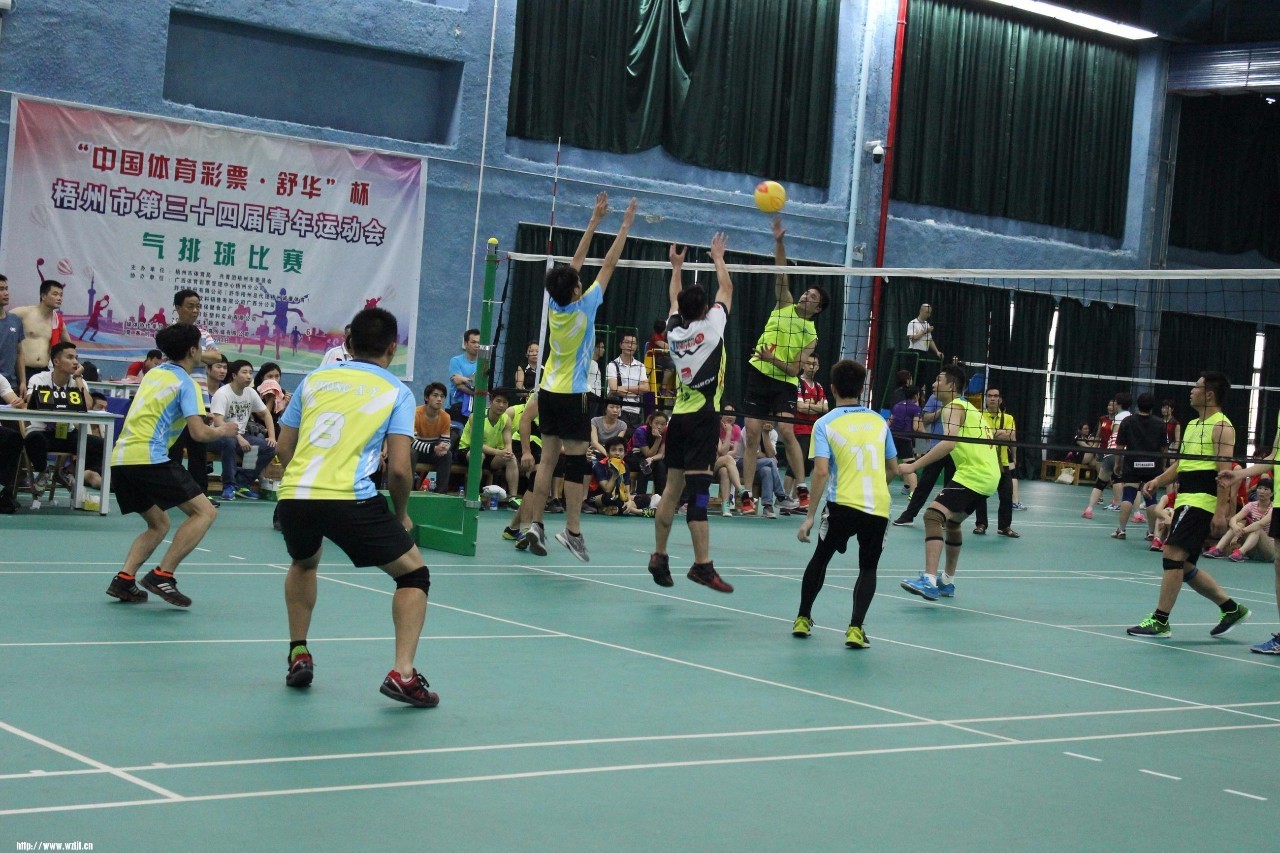 梧州青运会各队名单,梧州青运会赛程