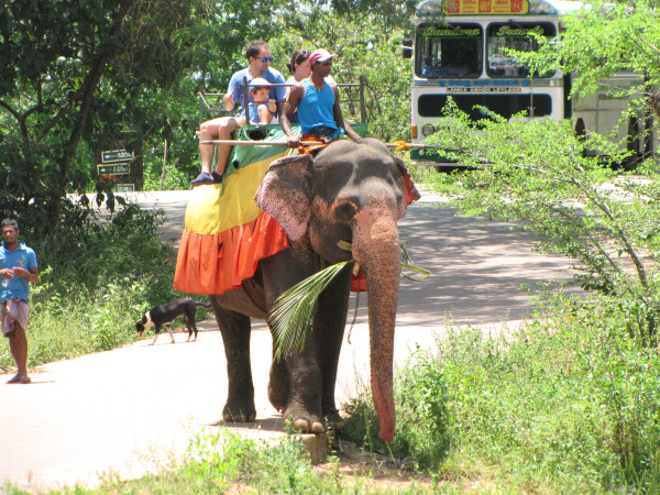 斯里兰卡“人文旅游”攻略综述